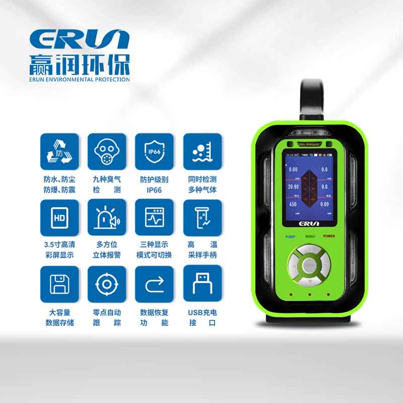 多參數(shù)氣體檢測(cè)儀ERUN-QB9609(內(nèi)置泵吸式)