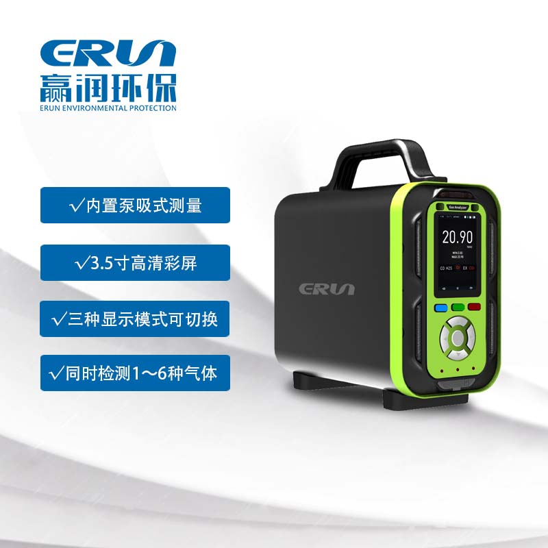 多參數(shù)氣體檢測(cè)儀ERUN-QB9609(內(nèi)置泵吸式)